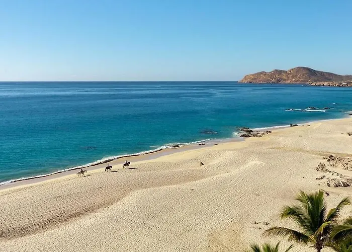1bd Oceanview Garza Blanca In Cabo Apartamento